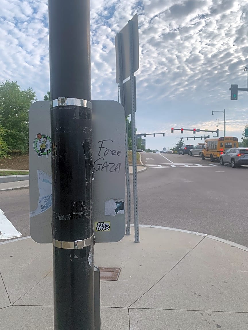 Image submitted with report