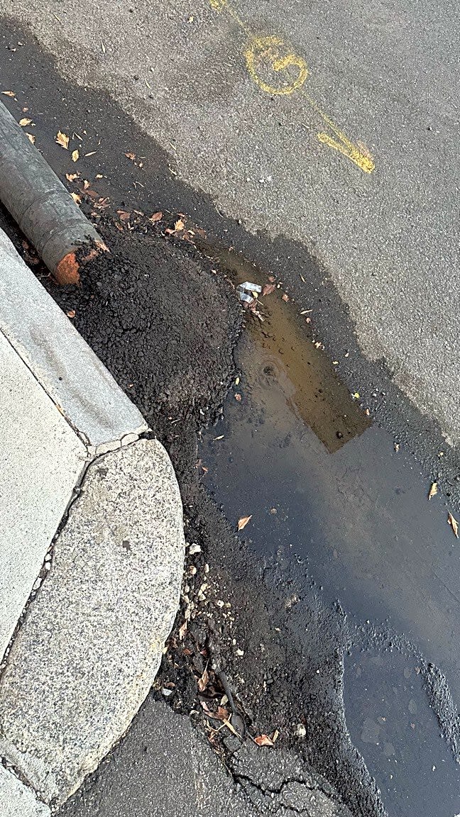 Image submitted with report