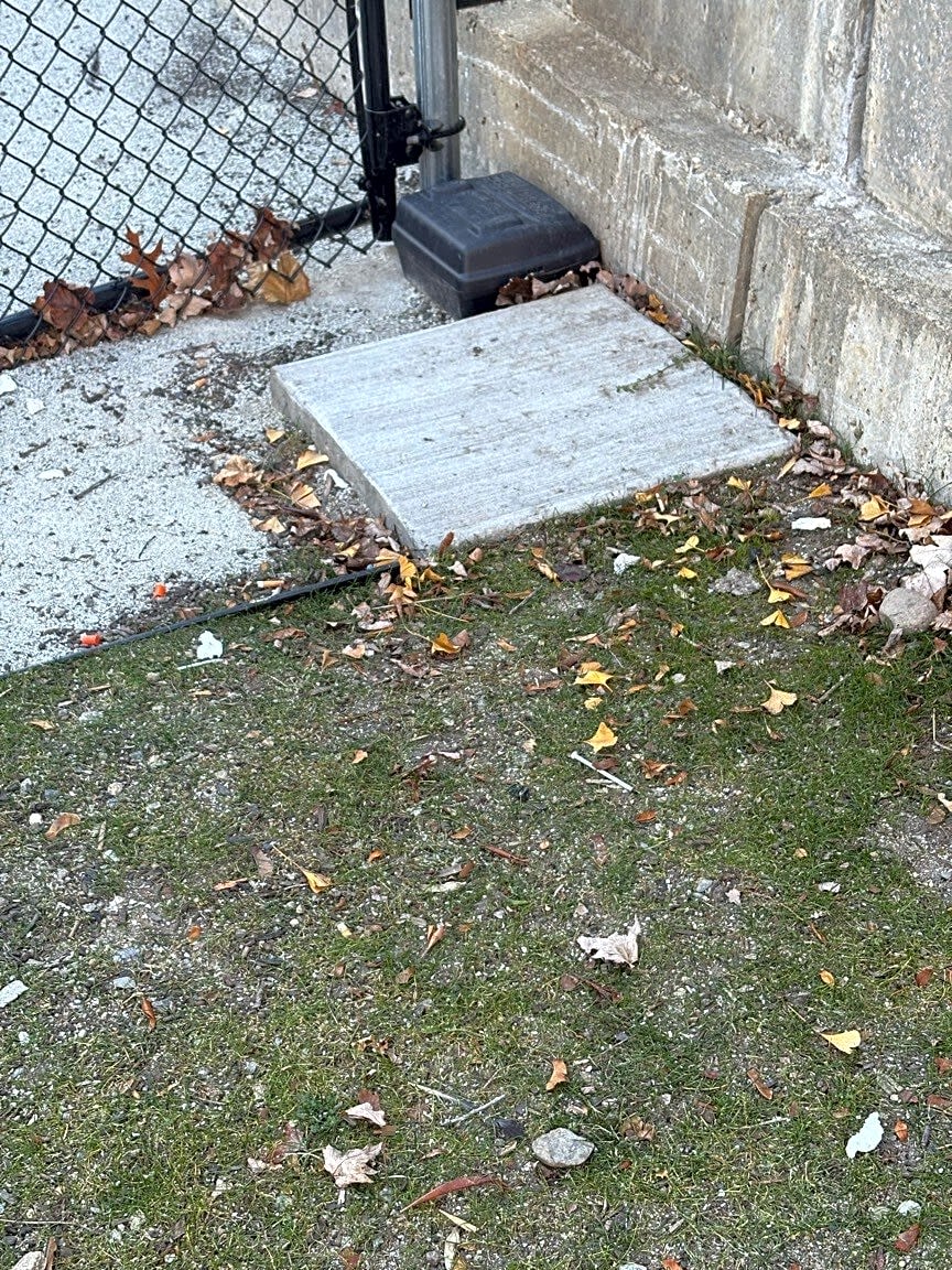 Image submitted with report