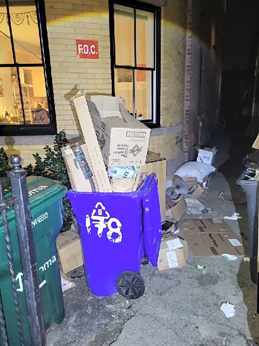 Image submitted with report