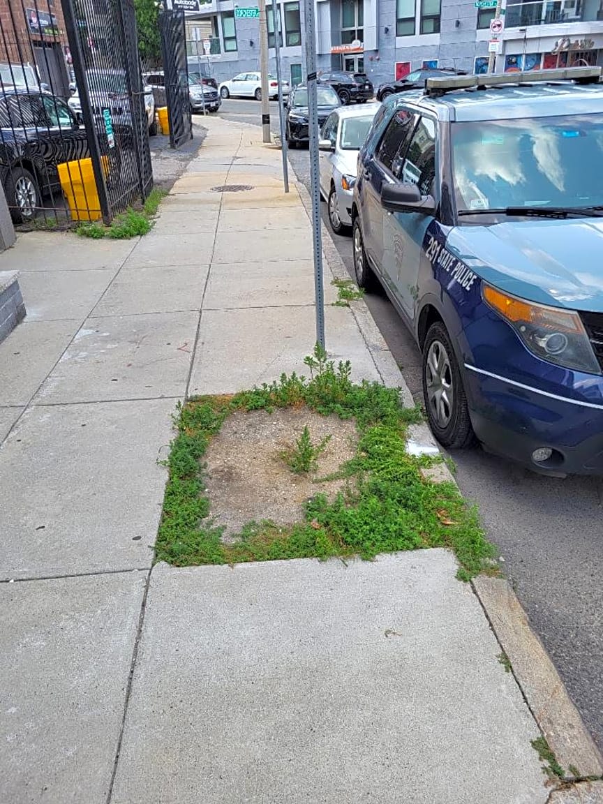 Image submitted with report