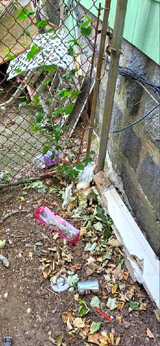 Image submitted with report