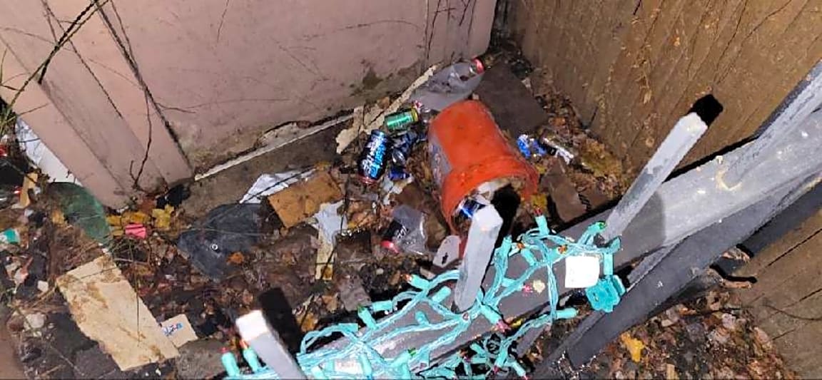 Image submitted with report