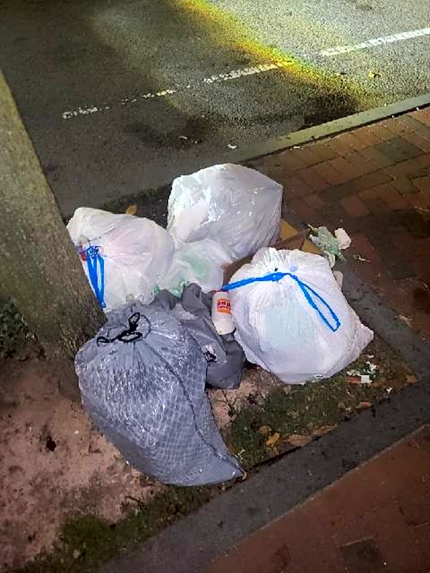 Image submitted with report