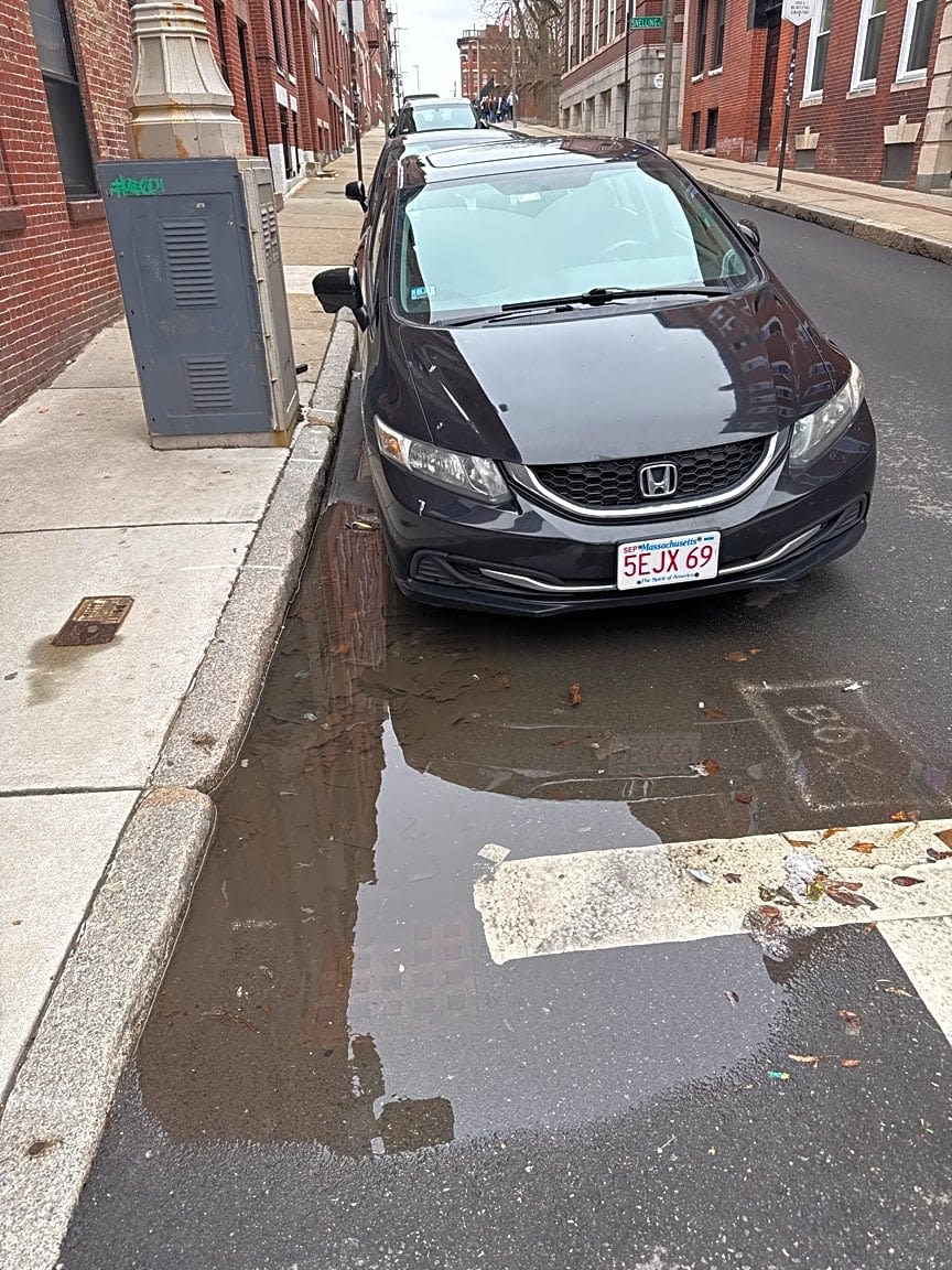Image submitted with report