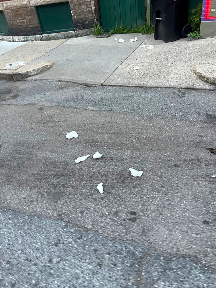 Image submitted with report
