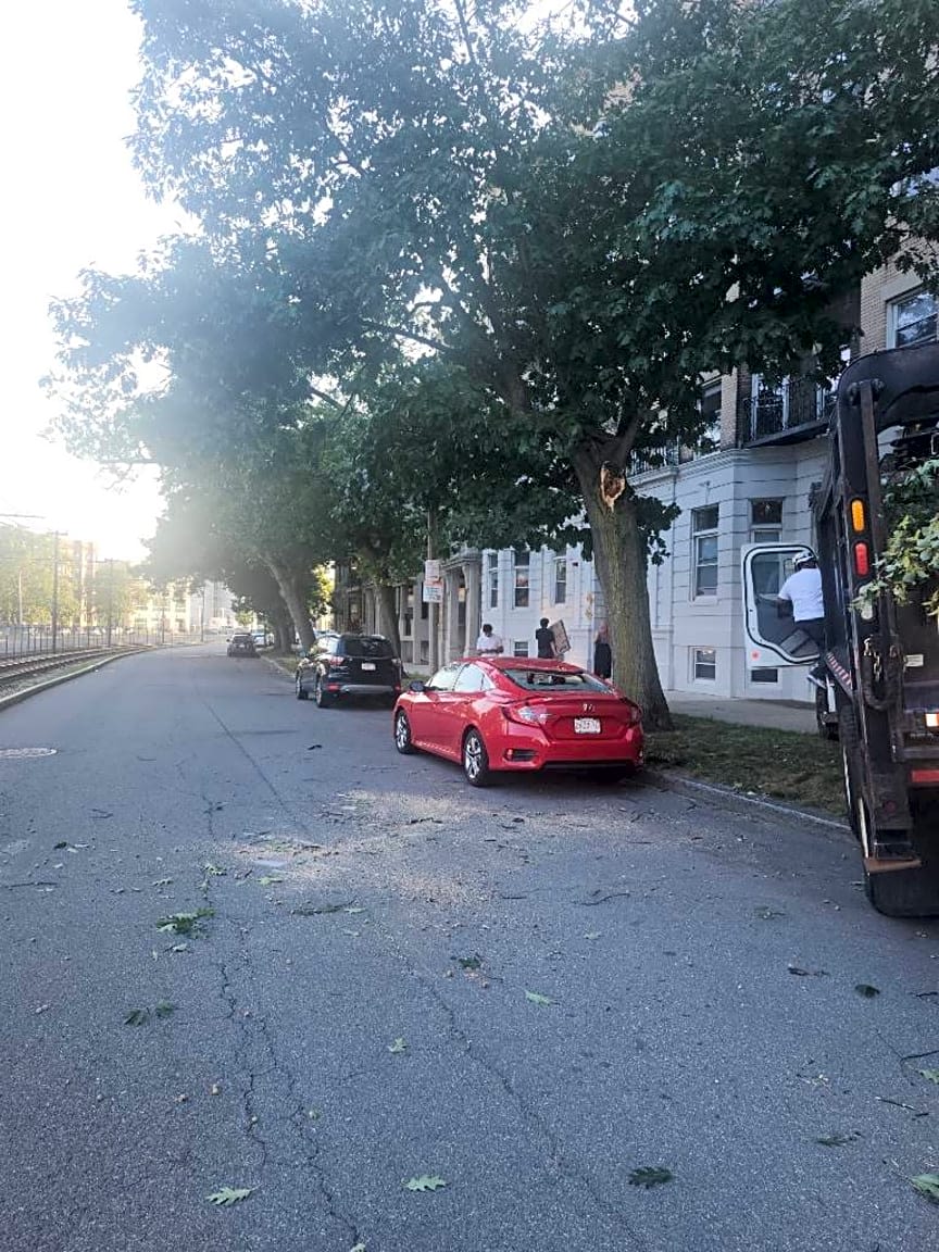 Image submitted with report