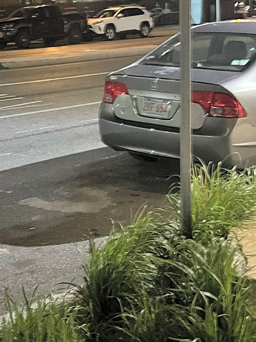 Image submitted with report