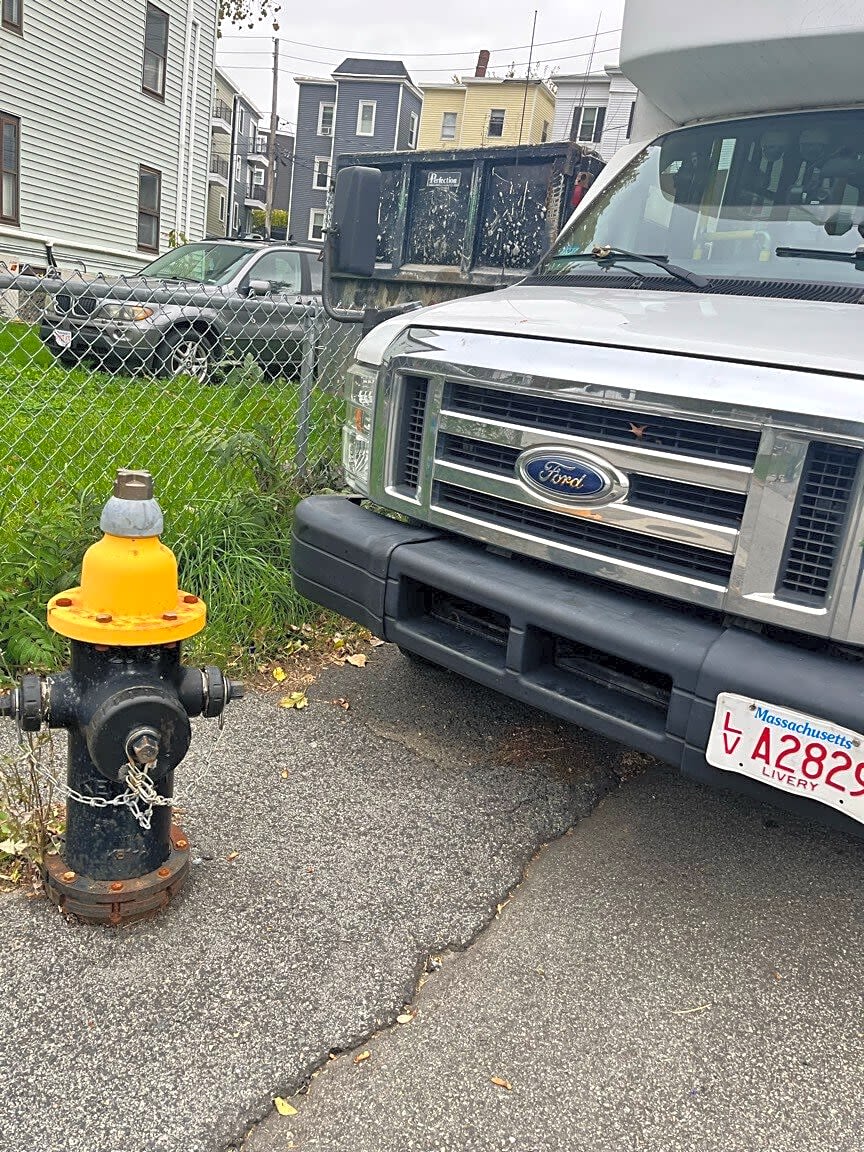 Image submitted with report