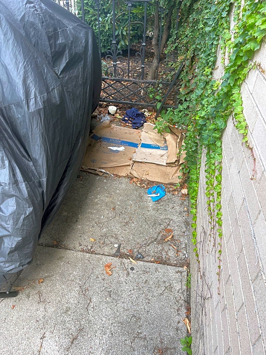 Image submitted with report