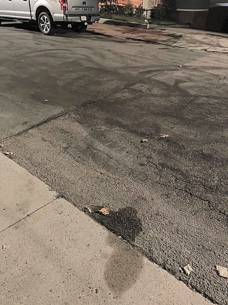 Image submitted with report