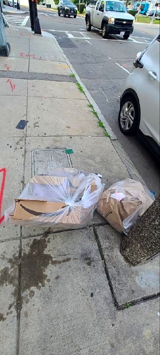 Image submitted with report