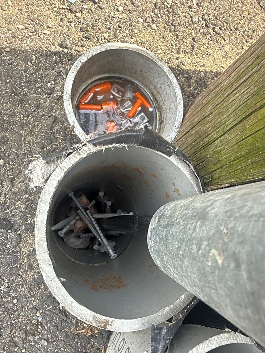 Image submitted with report