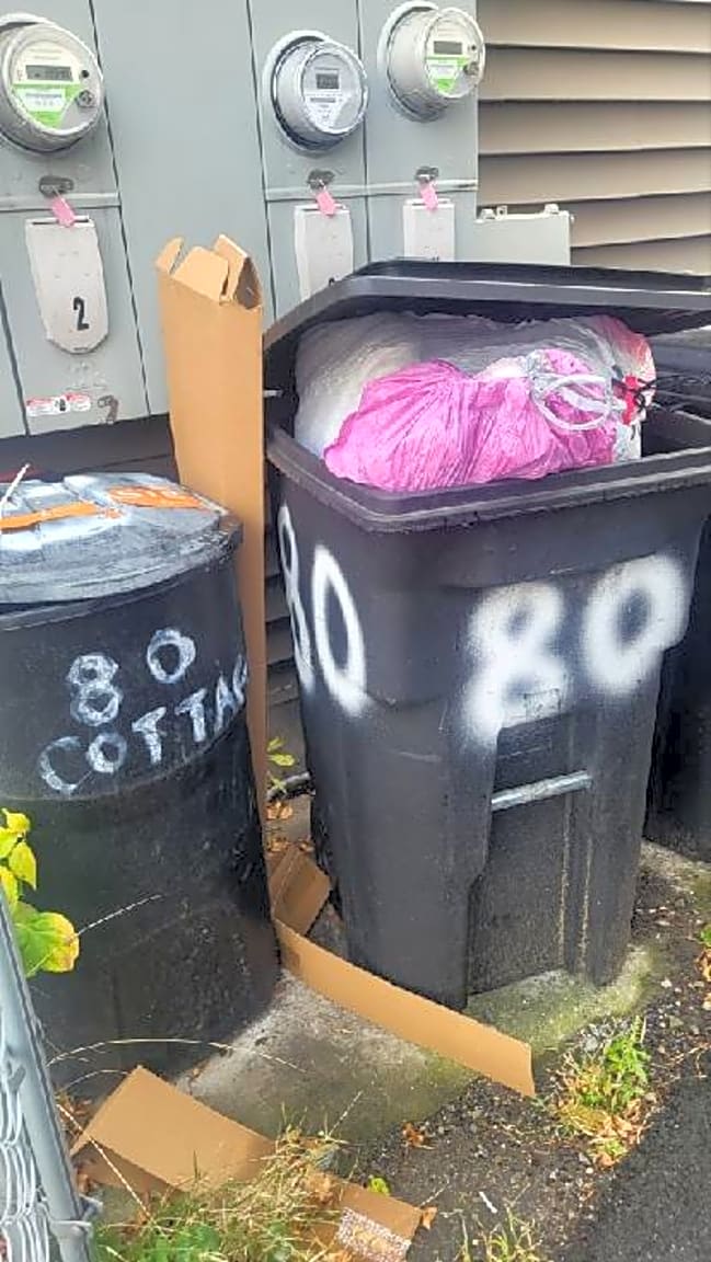 Image submitted with report