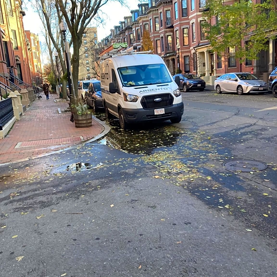 Image submitted with report