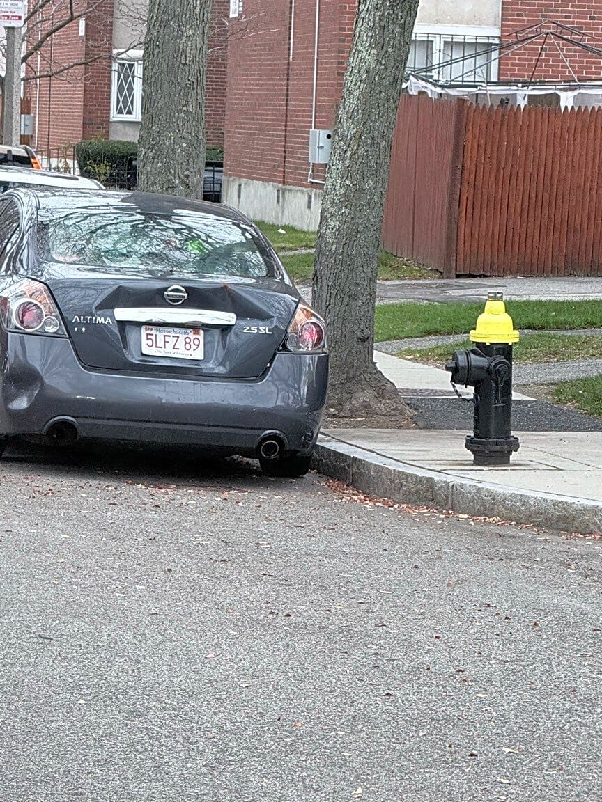 Image submitted with report