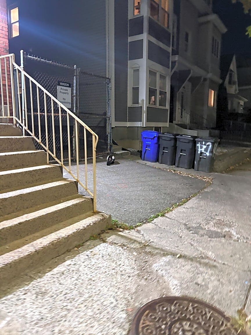 Image submitted with report