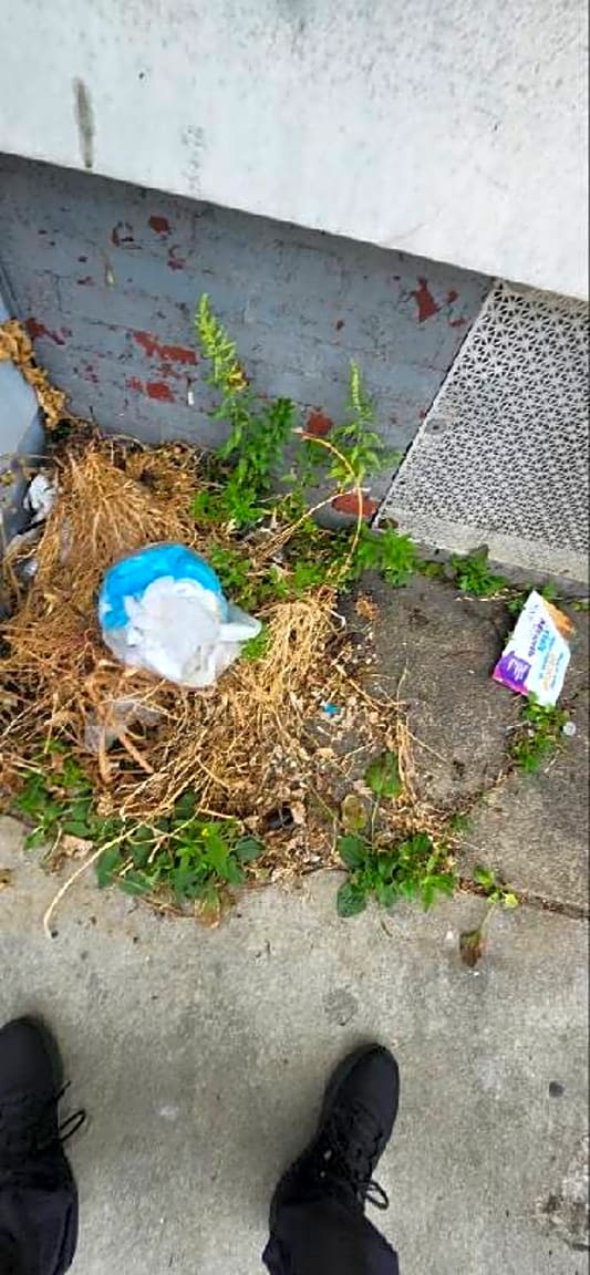 Image submitted with report