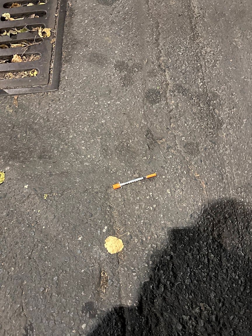 Image submitted with report