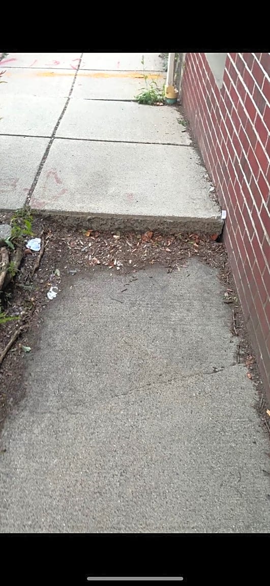 Image submitted with report