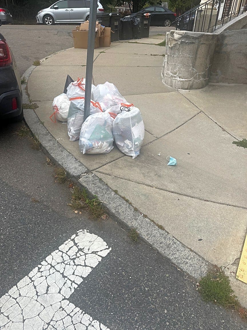 Image submitted with report