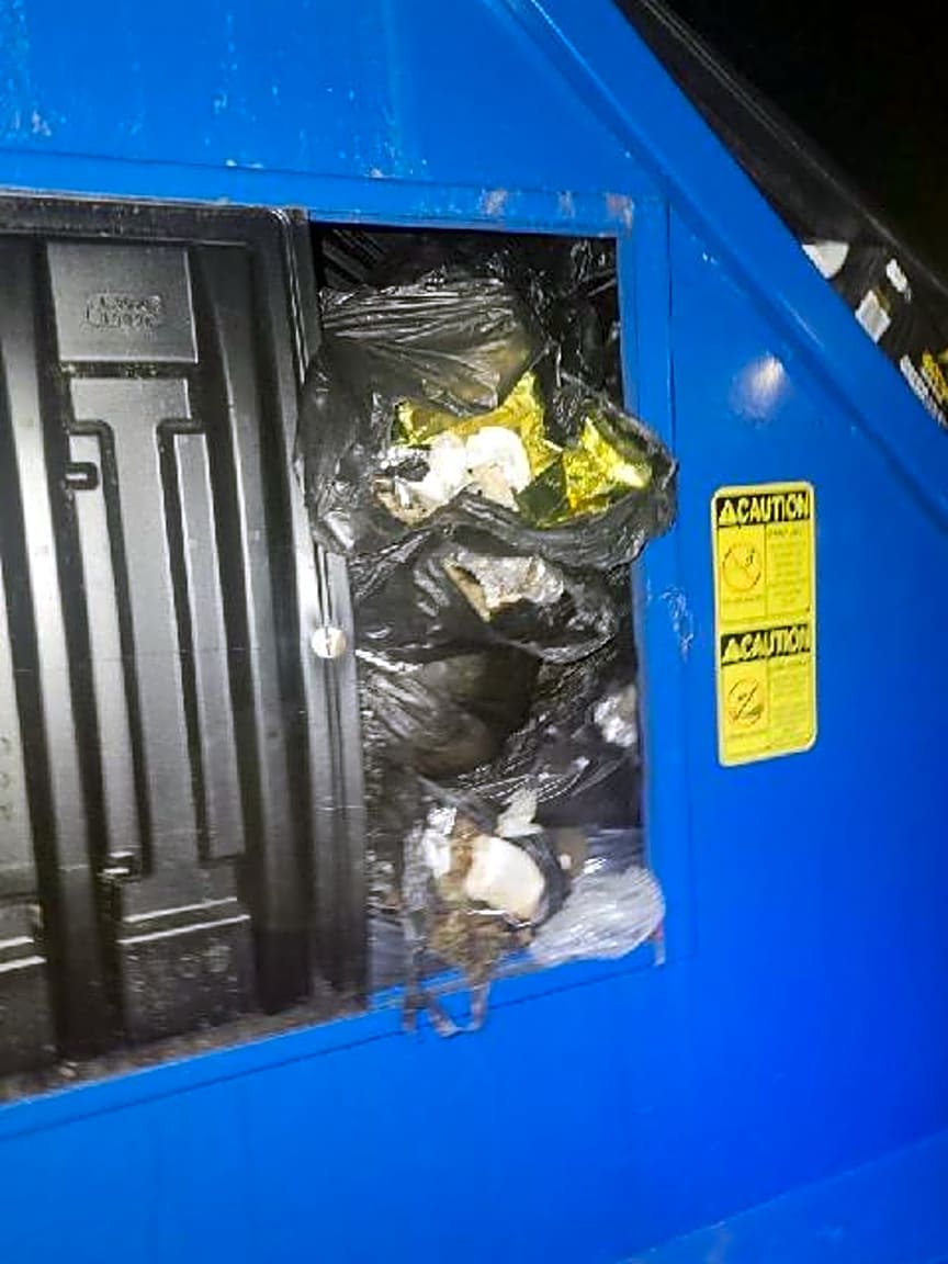 Image submitted with report