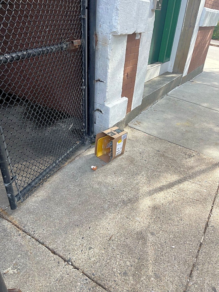 Image submitted with report
