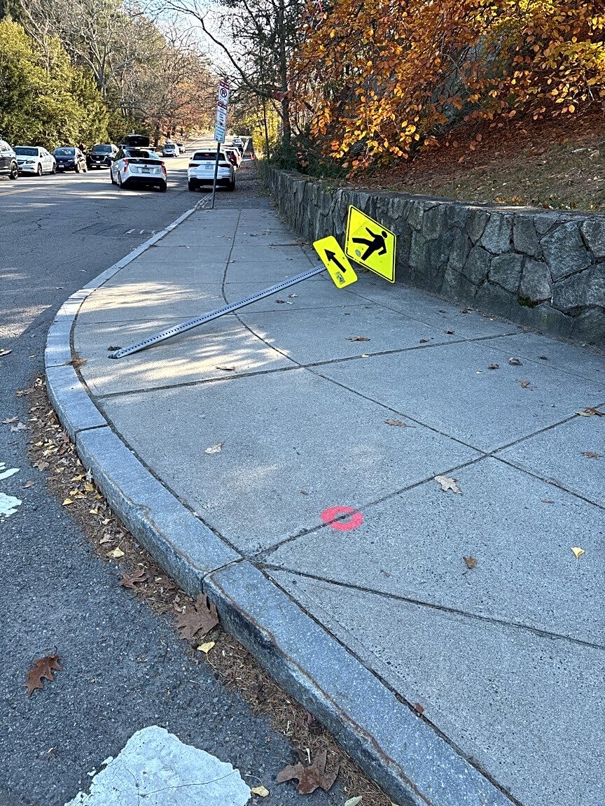 Image submitted with report