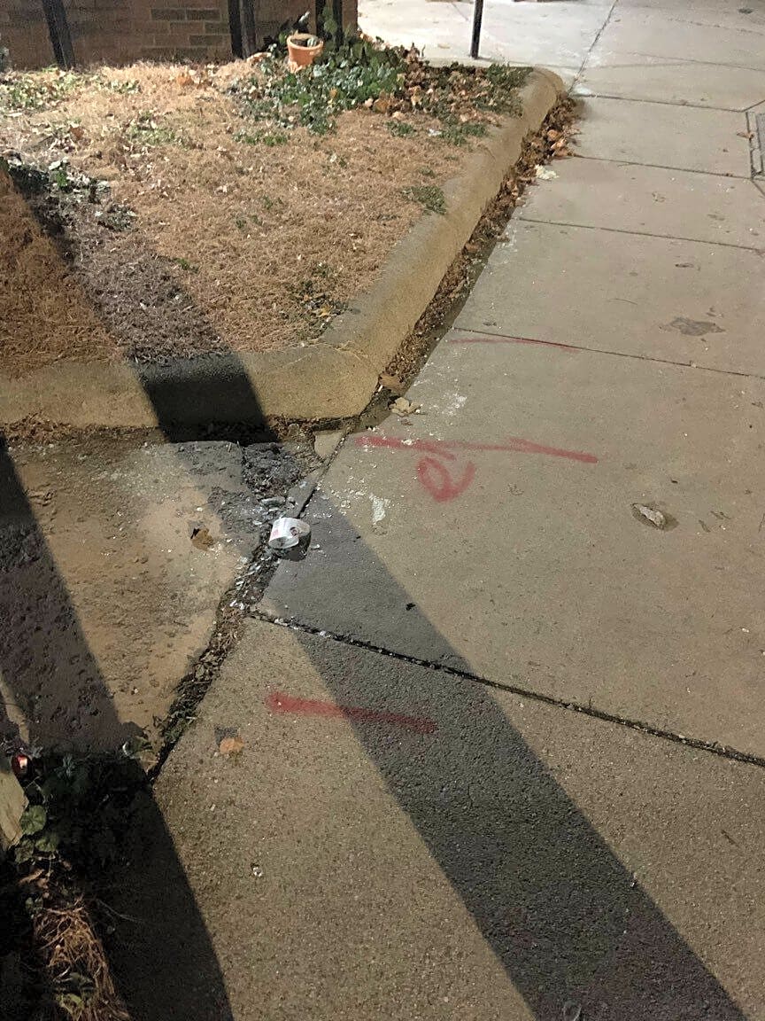 Image submitted with report