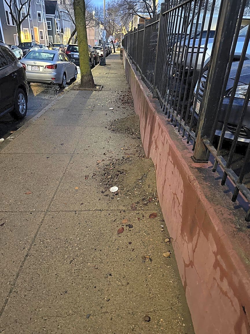 Image submitted with report