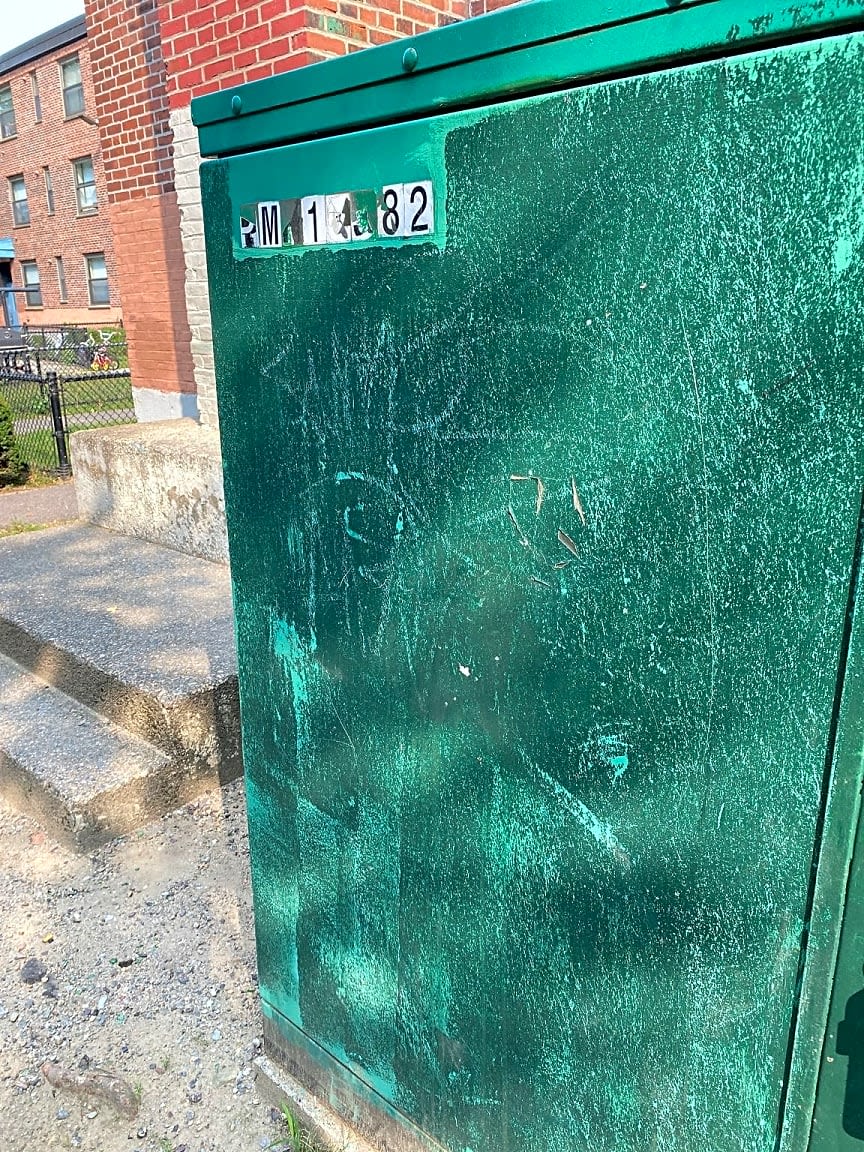Image submitted with report
