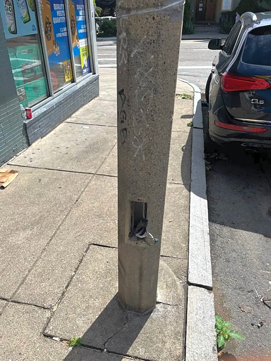 Image submitted with report