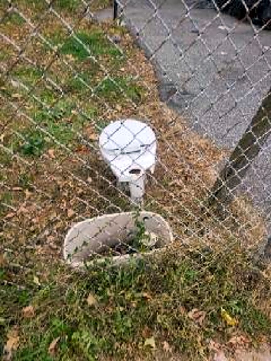 Image submitted with report