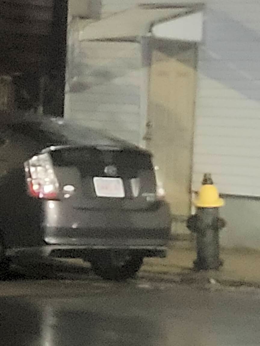 Image submitted with report
