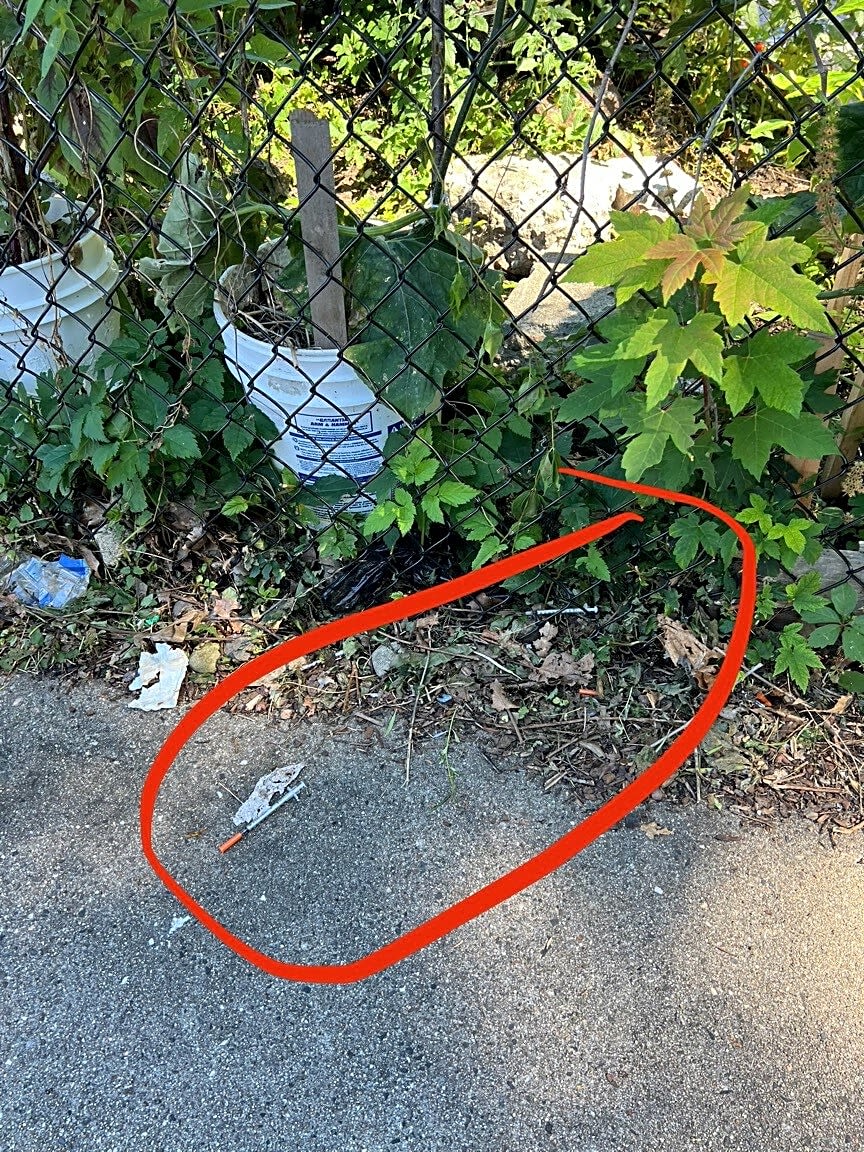 Image submitted with report