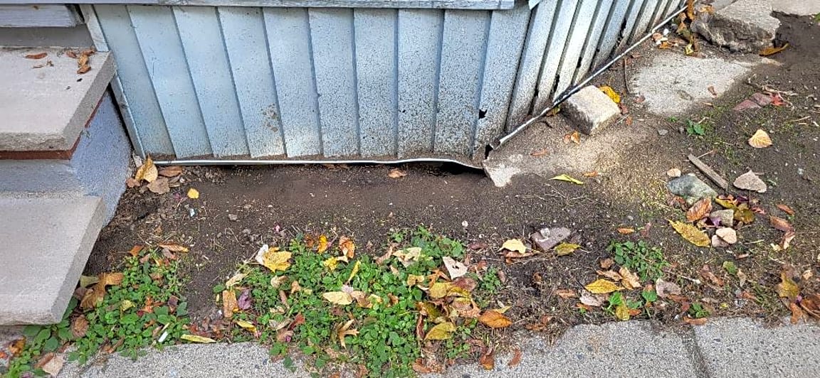 Image submitted with report