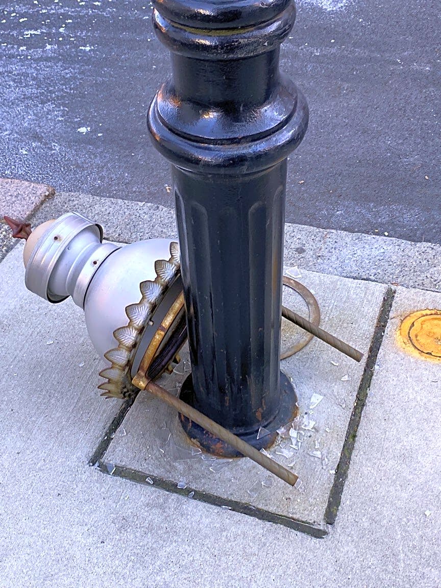 Image submitted with report