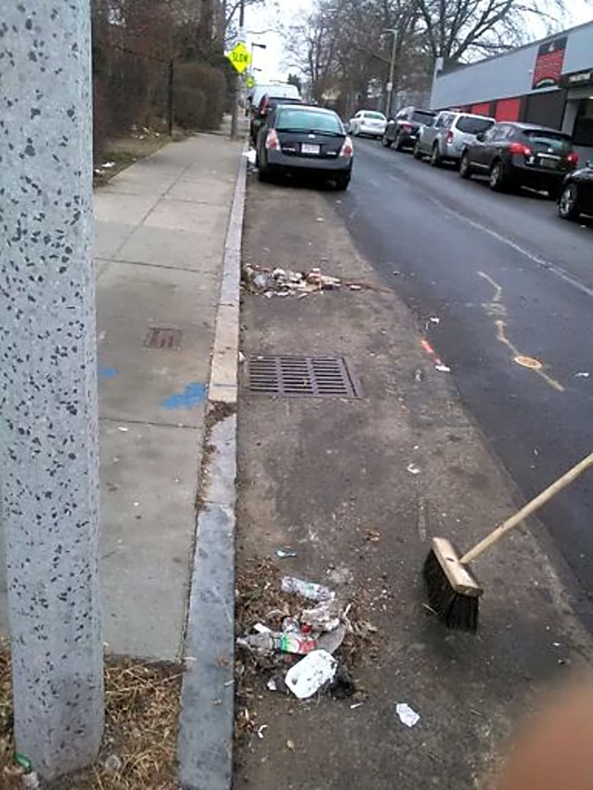 Image submitted with report