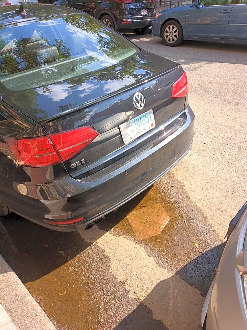 Image submitted with report