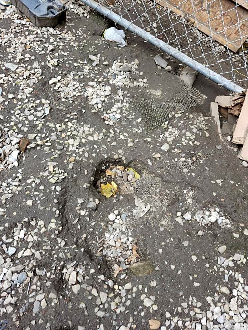 Image submitted with report