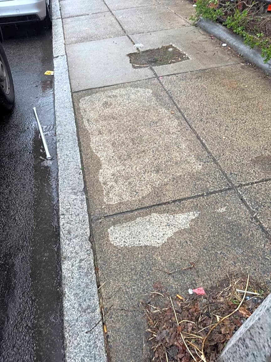Image submitted with report