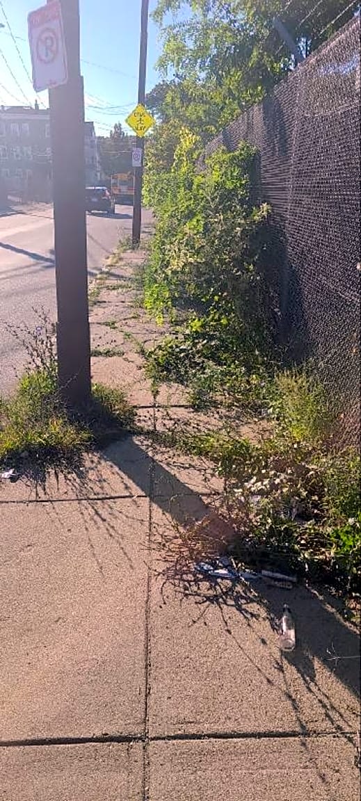 Image submitted with report