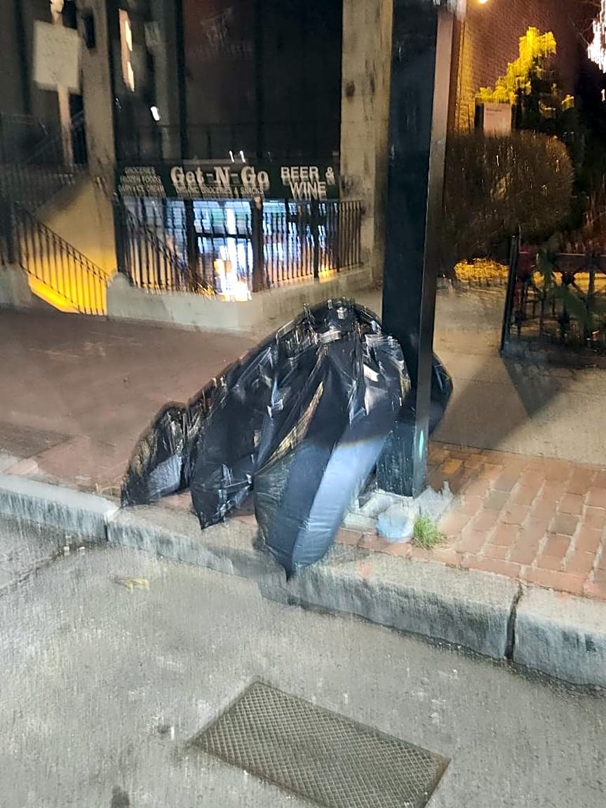 Image submitted with report