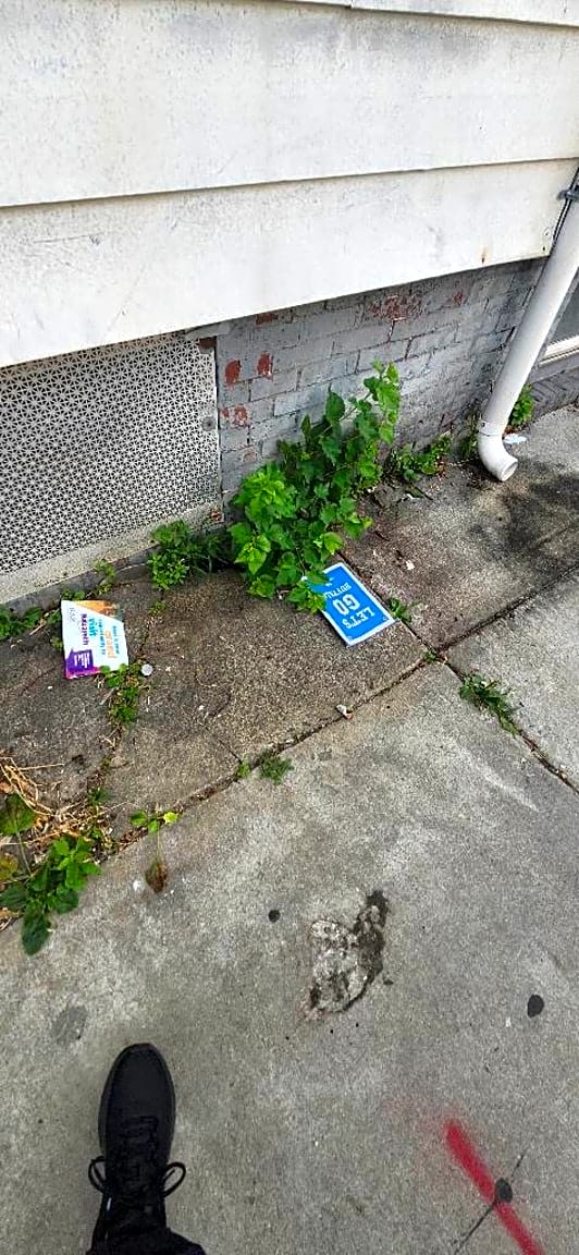 Image submitted with report