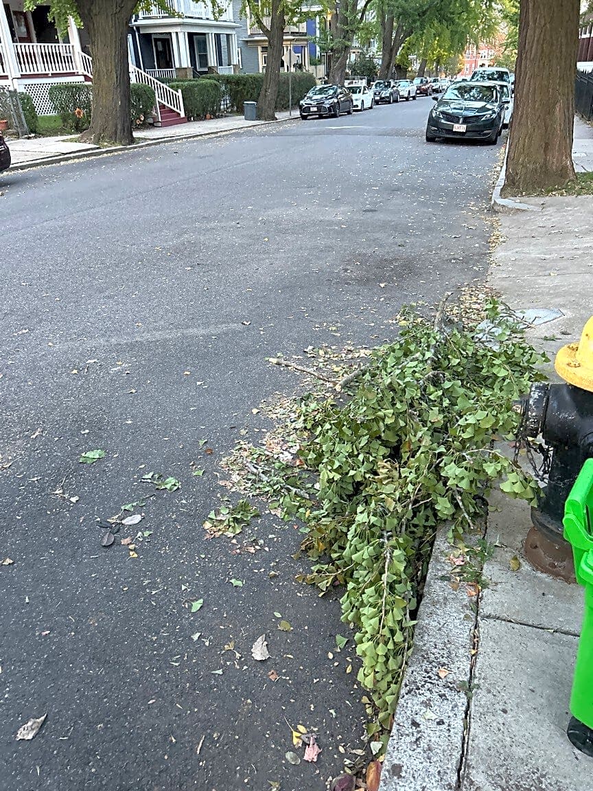 Image submitted with report