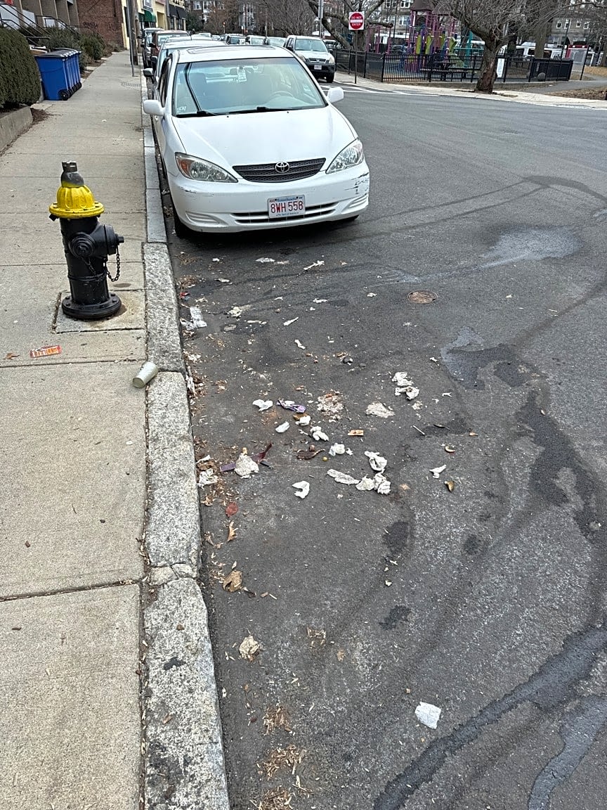 Image submitted with report
