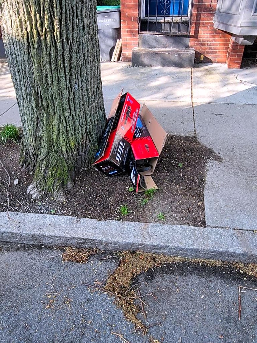 Image submitted with report
