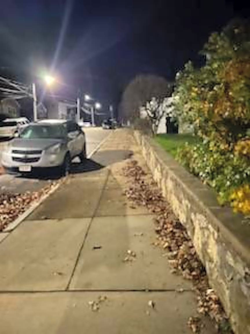 Image submitted with report