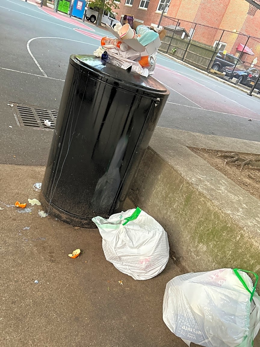 Image submitted with report