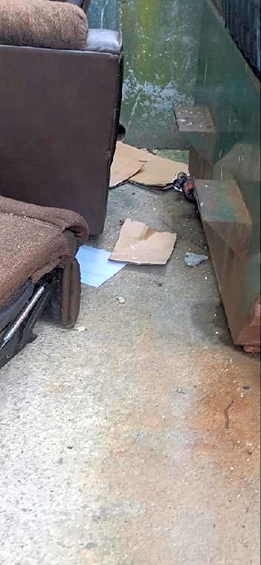 Image submitted with report